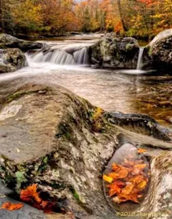 /img/2341-smoky-mountains-photography.webp