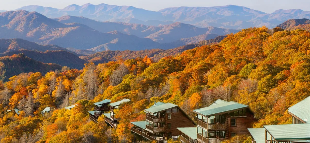 2341 smoky mountains restaurant