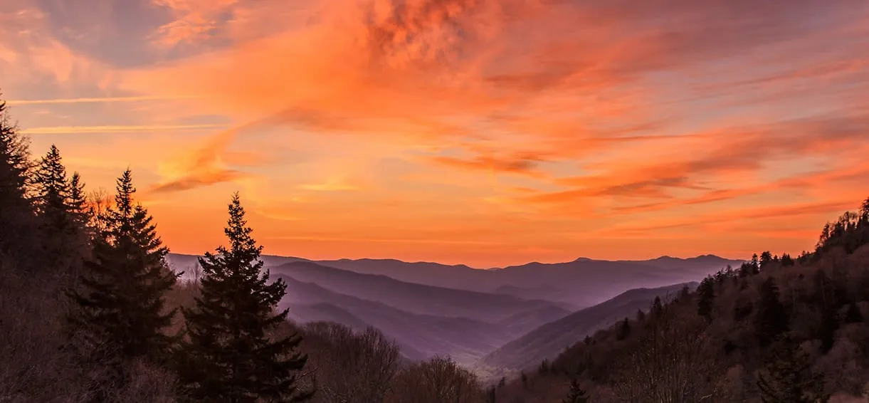 2341 smoky mountains ziplining