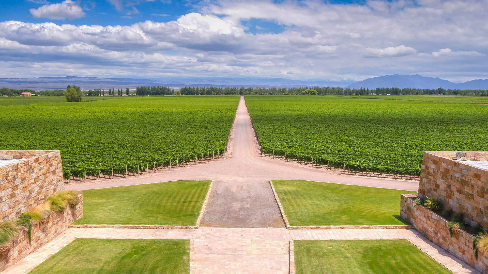 2345 MendozaWine_honeymoon
