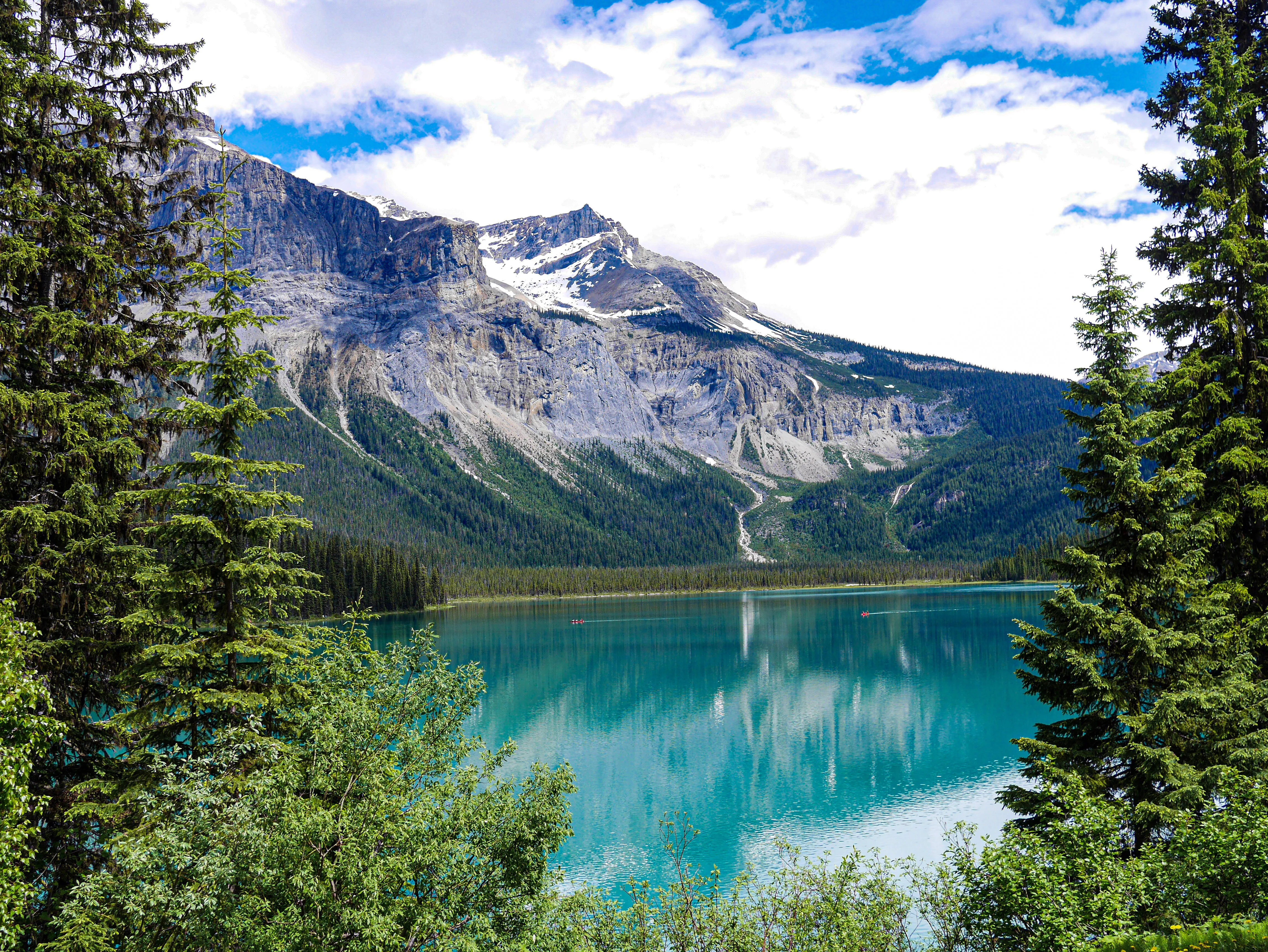 2353 jasper honeymoon