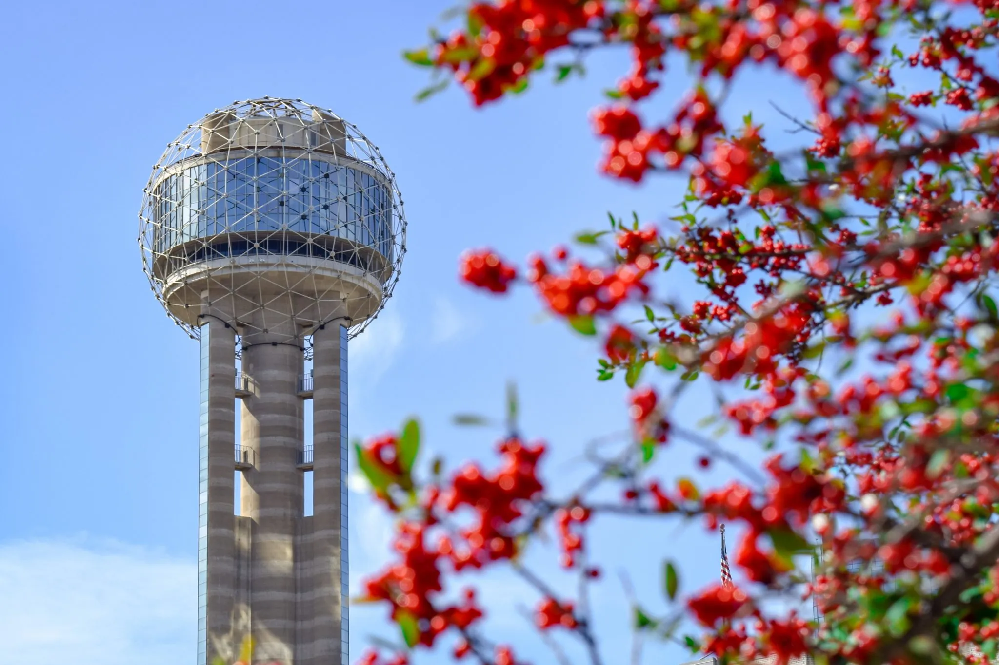 2361 texas city romantic