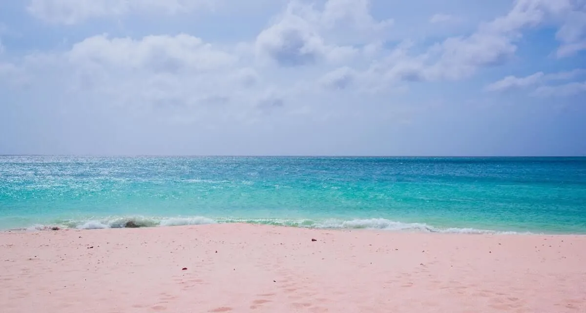 2368 all inclusive resort