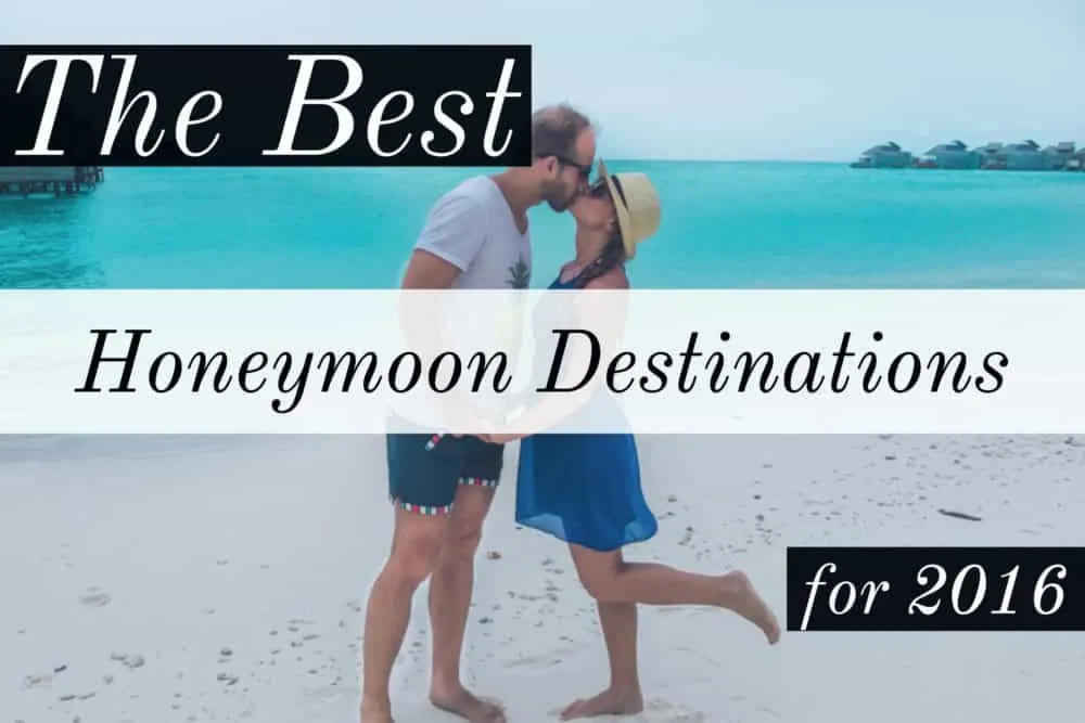 2368 maldives honeymoon