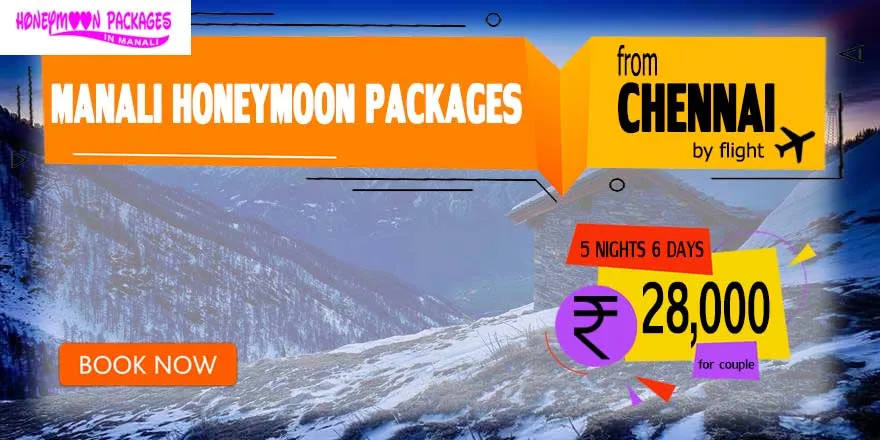 2369 chennai honeymoon activities
