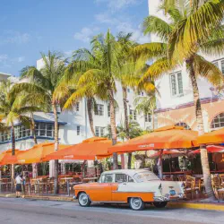 /img/2387-local-florida-eats.webp