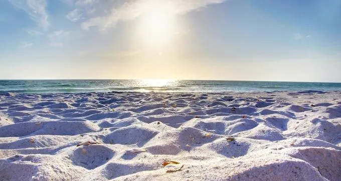 2400 delray beach honeymoon