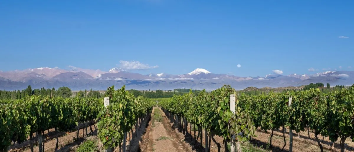 2403 patagonia honeymoon