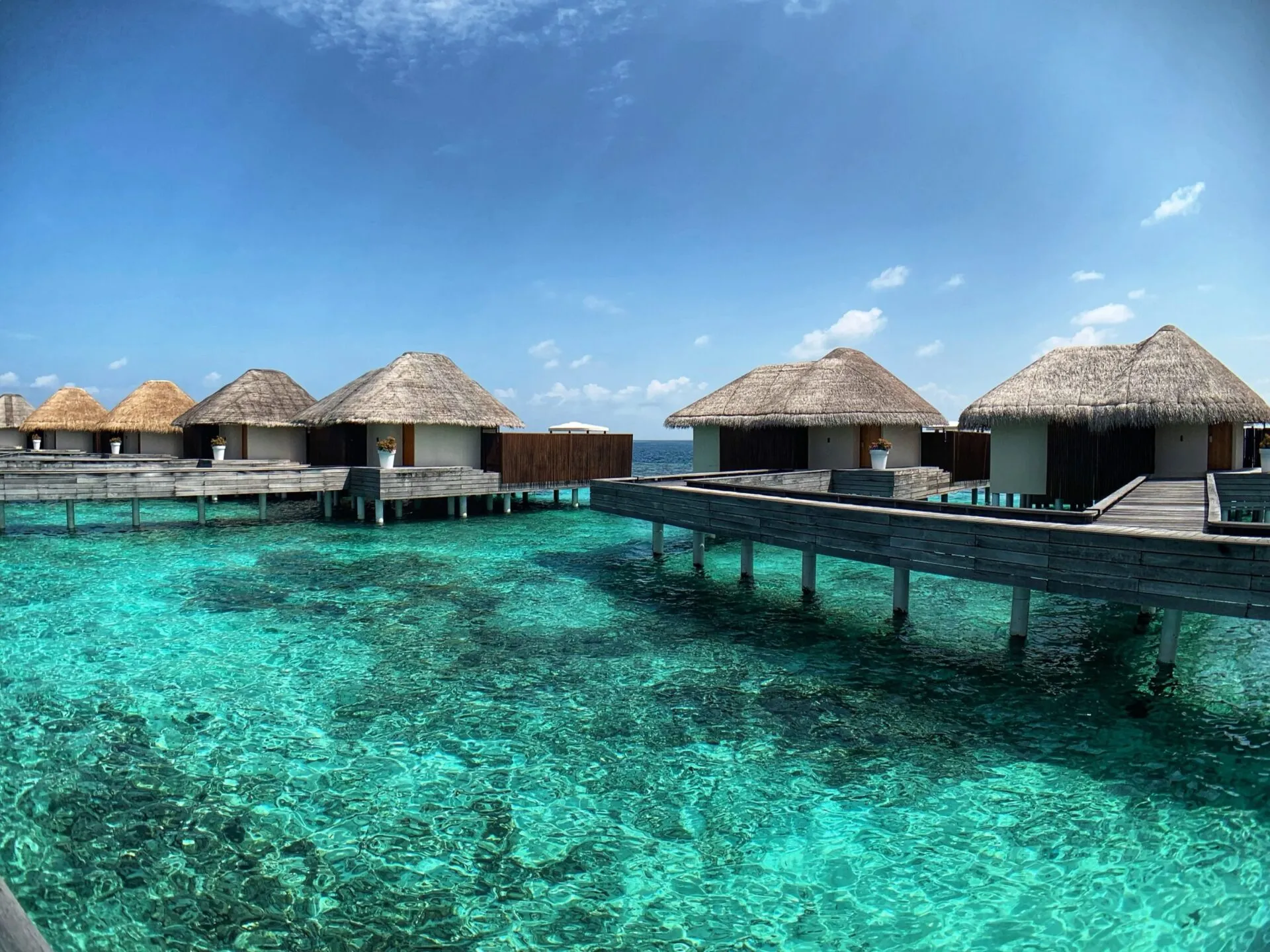 /img/2409-couple-honeymoon.webp