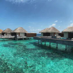 /img/2409-couple-honeymoon.webp