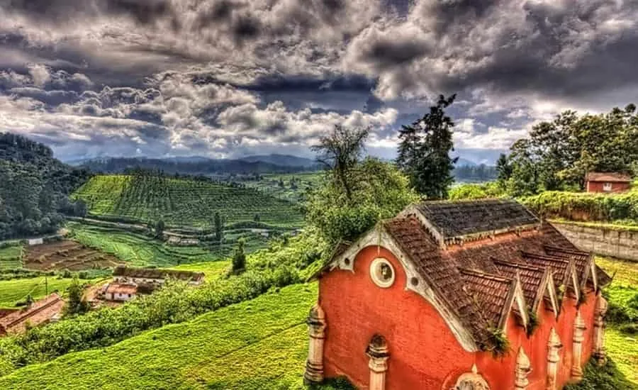 2413 ooty rose garden