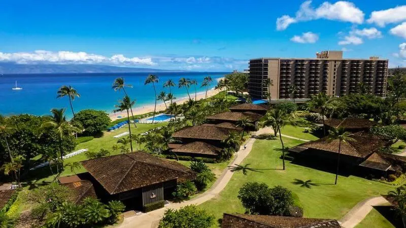 2418 couple honeymoon beach