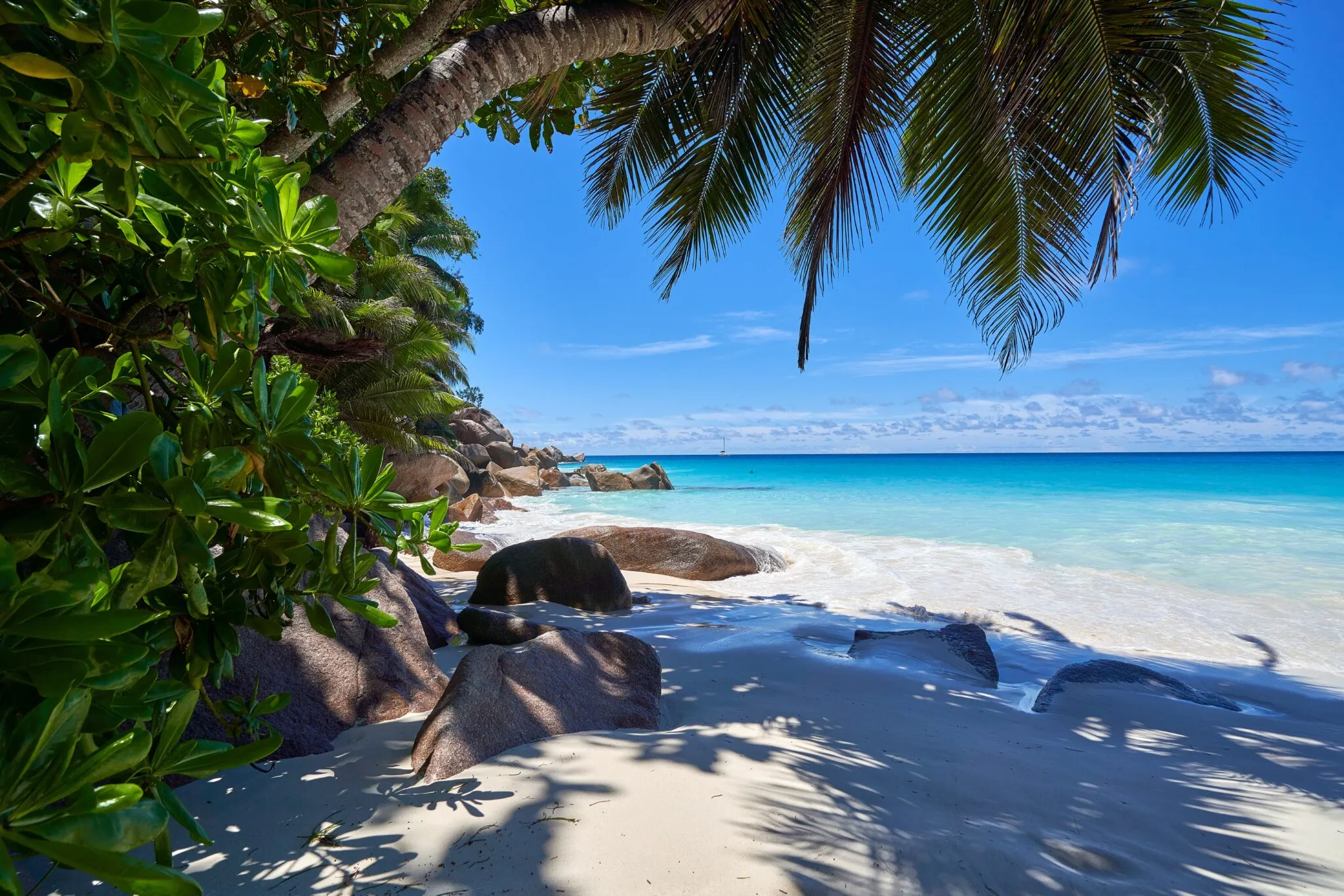 2423 maldives honeymoon