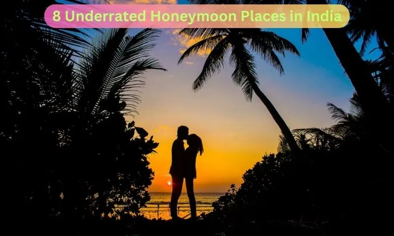 2428 manali honeymoon