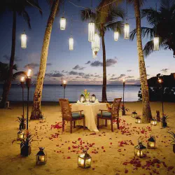 /img/2448-romantic-honeymoon-video-share-online.webp
