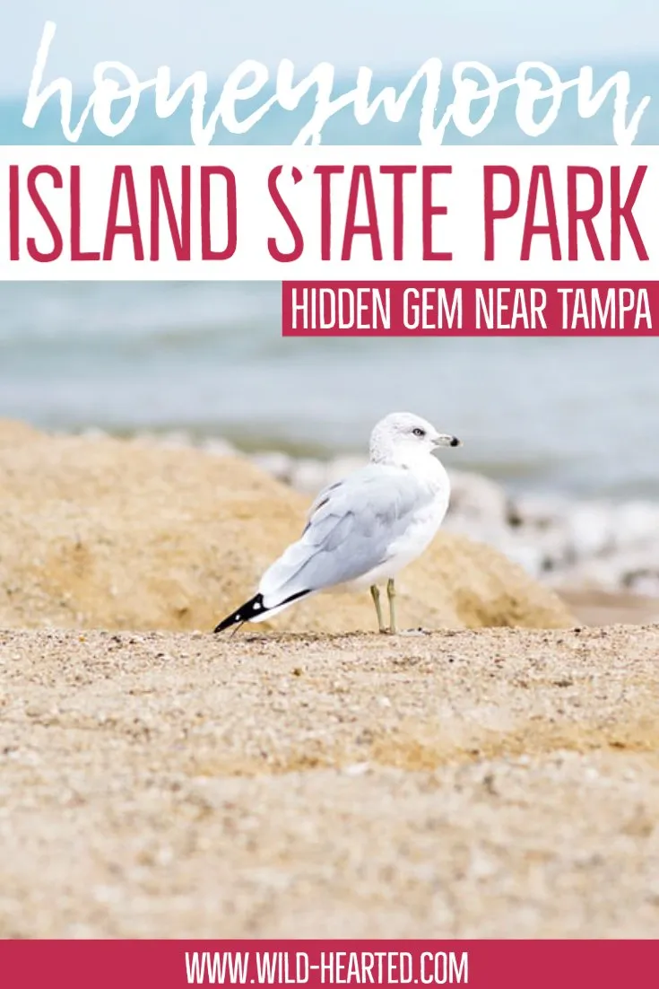 2485 honeymoon island weather windy day