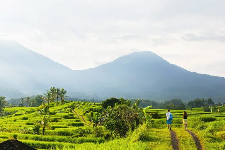 2486 lombok honeymoon