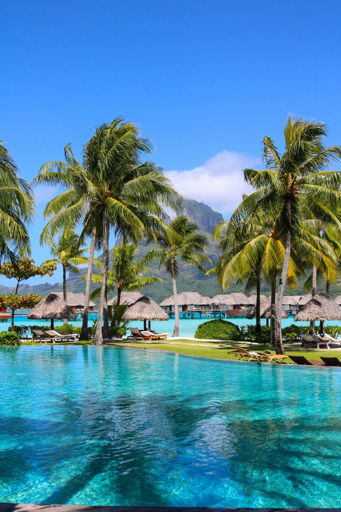 2490 bora bora romantic dinner