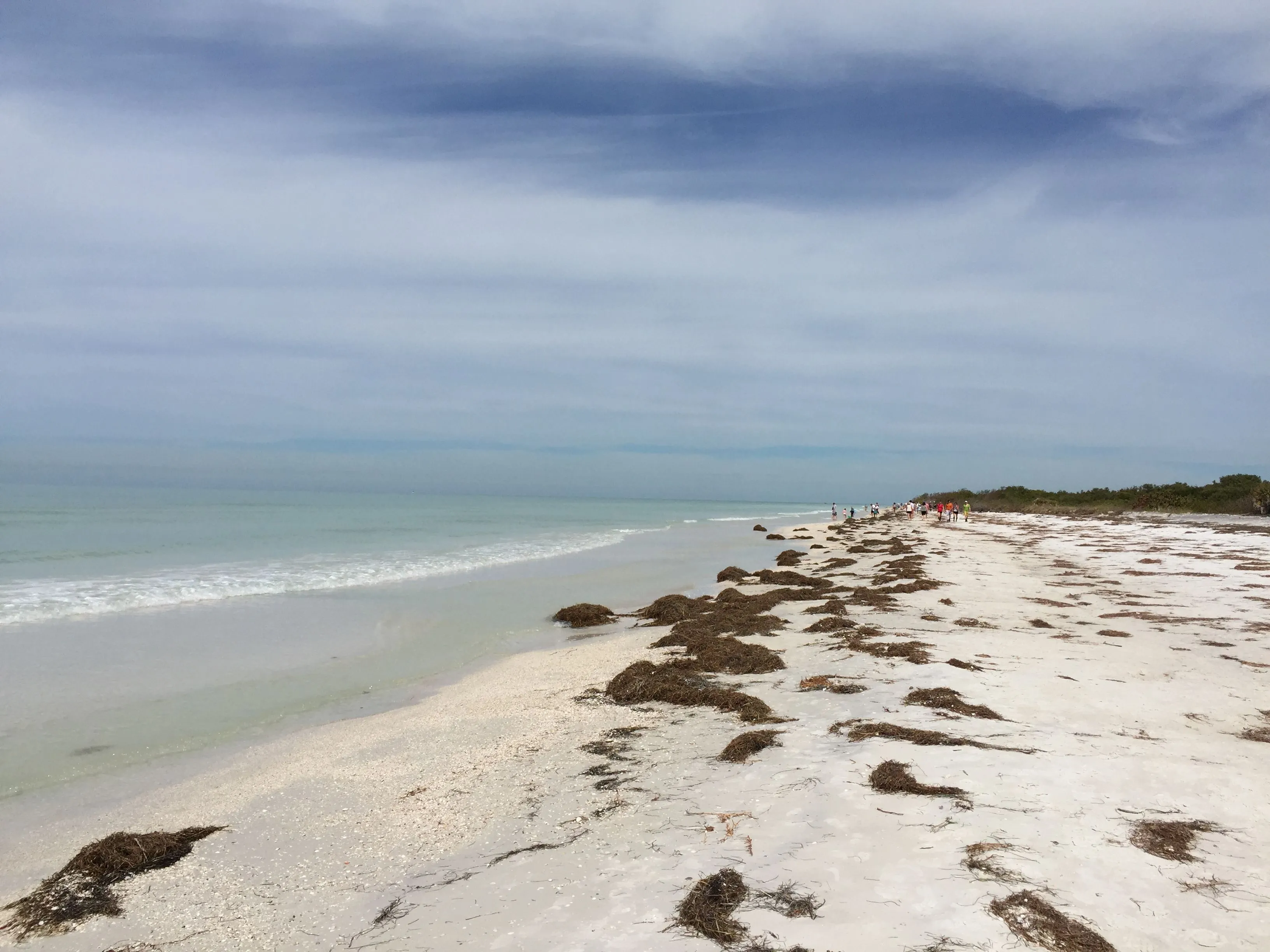 2499 honeymoon beach florida sunbathing