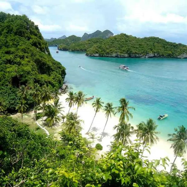 2502 koh samui honeymoon