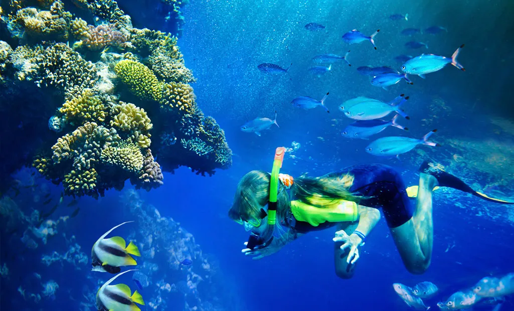 /img/2509-krabi-romantic-restaurant.webp