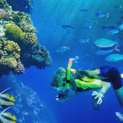/img/2509-krabi-romantic-restaurant.webp