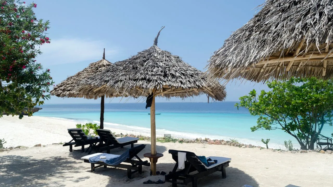 /img/2511-zanzibar-prison-island-giant-tortoise.webp