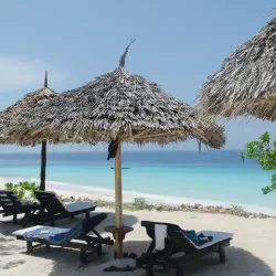 /img/2511-zanzibar-prison-island-giant-tortoise.webp