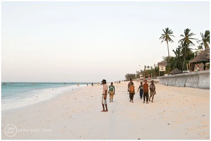 2511 zanzibar spice farm tour