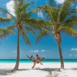 /img/2514-travel-barbados.webp