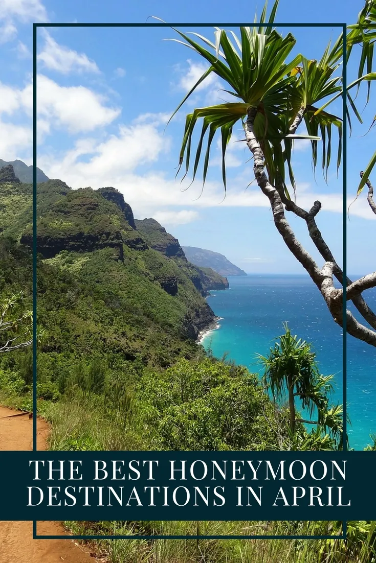 2519 honeymoon activities