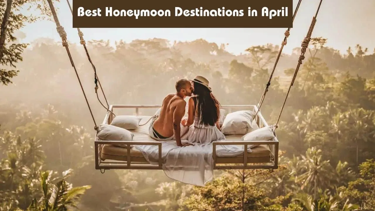 2519 romantic couple