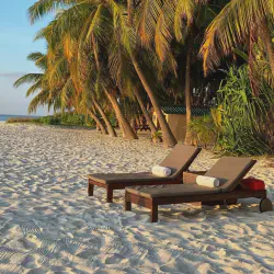 /img/2523-bora-bora-honeymoon.webp