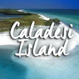 2525 caladesi island beach
