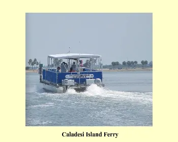2525 caladesi island wildlife
