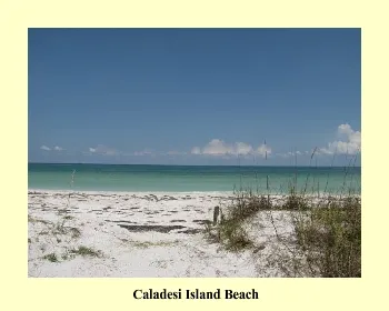 2525 watersports caladesi