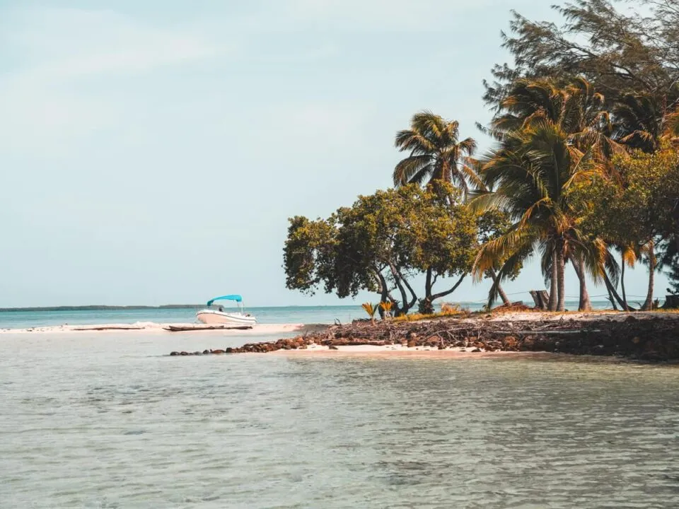 2526 honeymoon travel couple