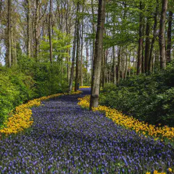 /img/2526-march-honeymoon-destinations.webp