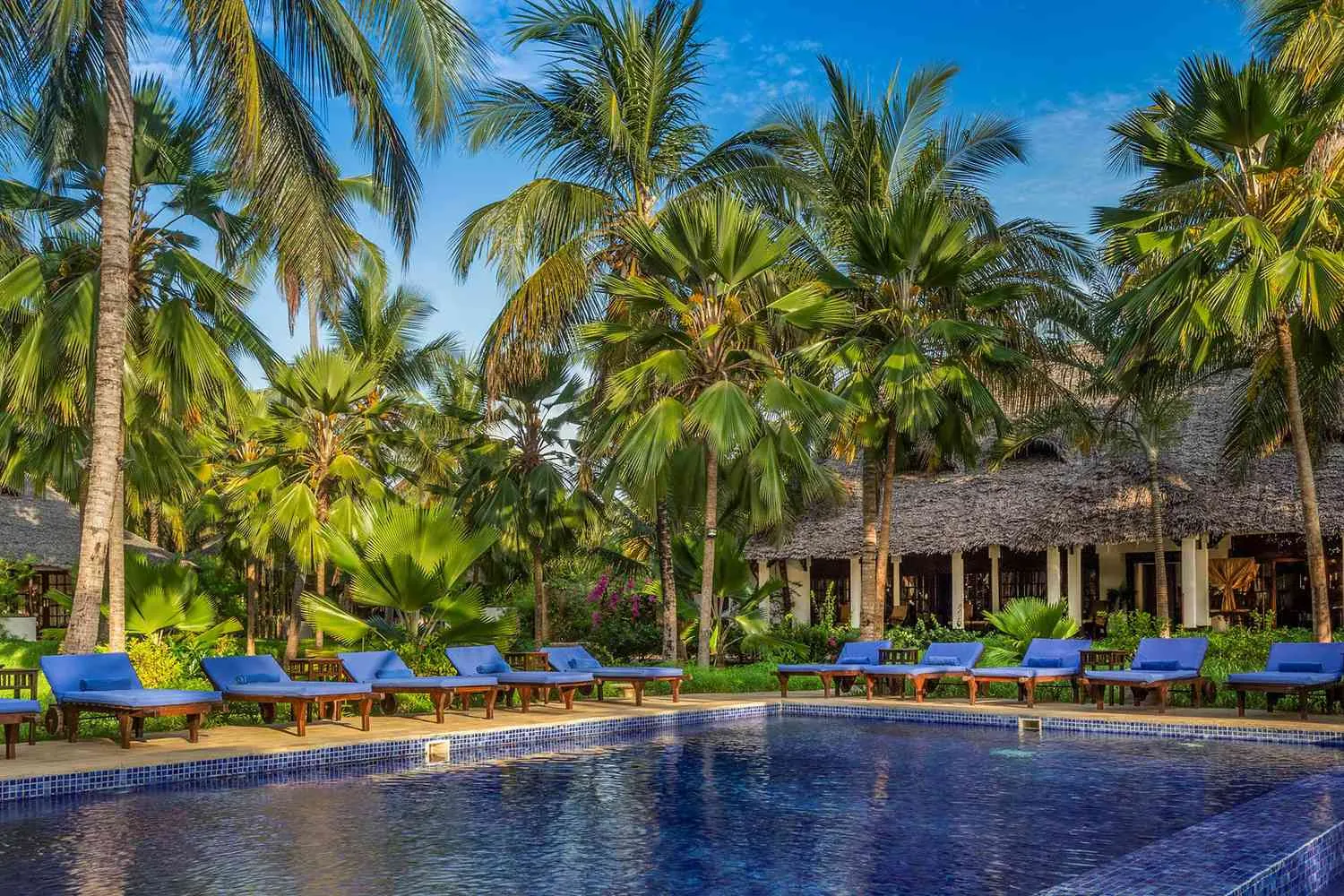 2528 el dorado resort honeymoon