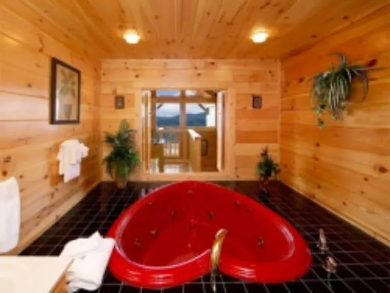 2535 pigeon forge cabin