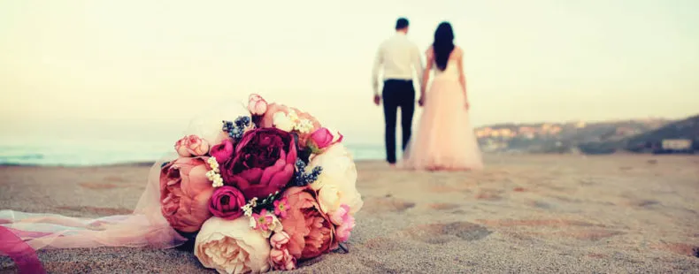 2545 romantic honeymoon dinner