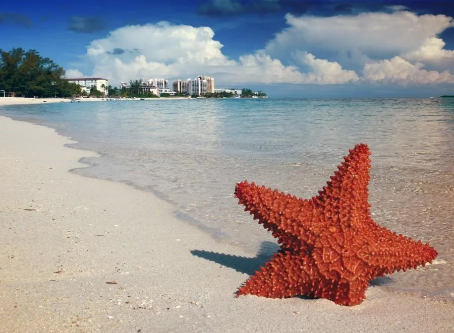 2553 maldives honeymoon