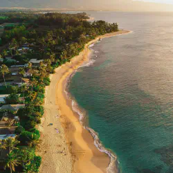 /img/2559-hawaiian-food.webp
