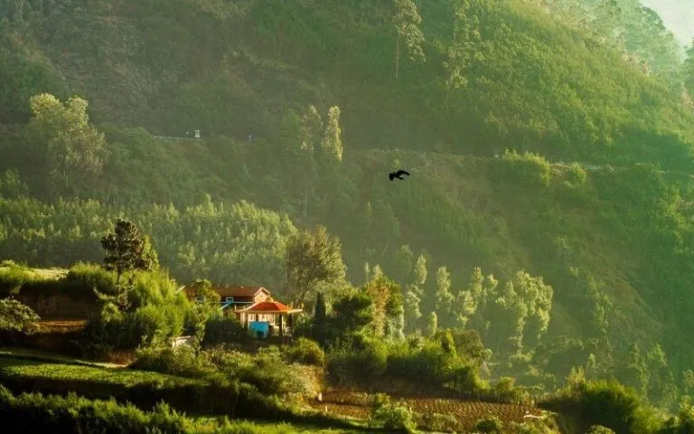 2560 adventure ooty honeymoon
