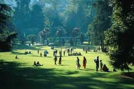 2560 classic ooty romance package