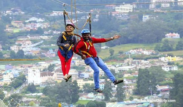 2560 tea estate ooty honeymoon