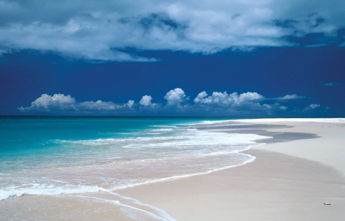 2573 caribbean romantic dinner