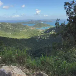 /img/2573-caribbean-travel-essentials.webp