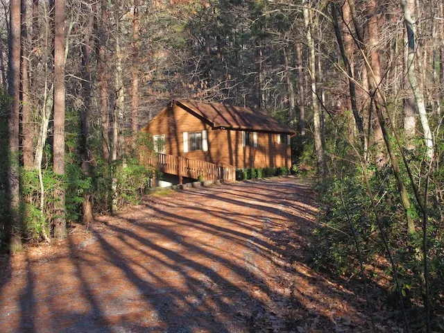 2580 georgia honeymoon cabin romantic dinner