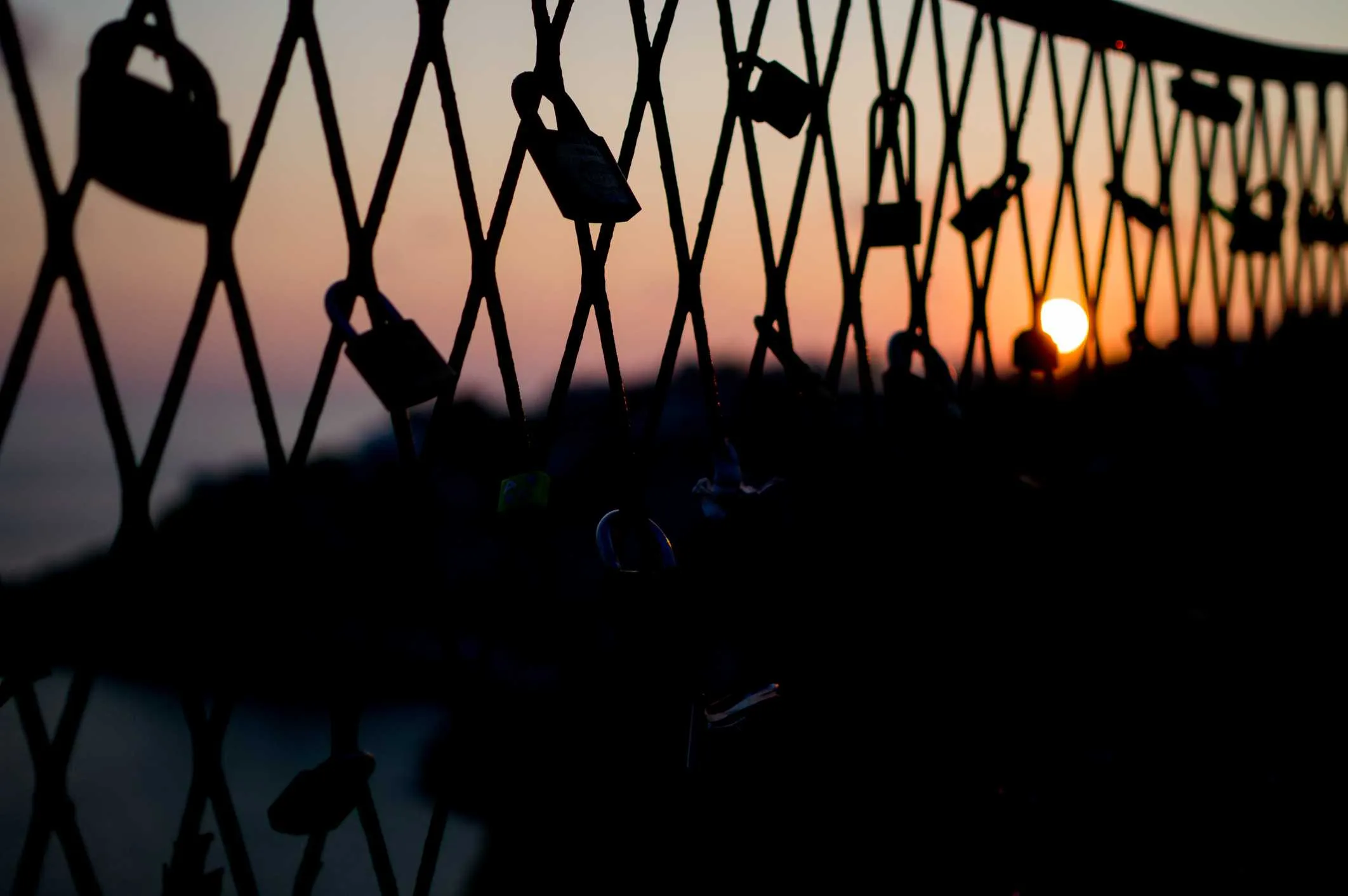 2584 diabetes honeymoon phase image 6